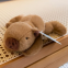 Мягкая игрушка Капибара Capybara 20 см плюшевая (22862) 2