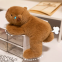 Мягкая игрушка Капибара Capybara 20 см плюшевая (22862) 3