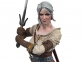 Фигурка Witcher 3: Wild Hunt Ciri 0